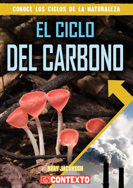 El Ciclo del Carbono