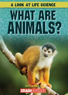 Cover image for What Are Animals?