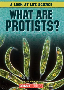 Cover image for What Are Protists?