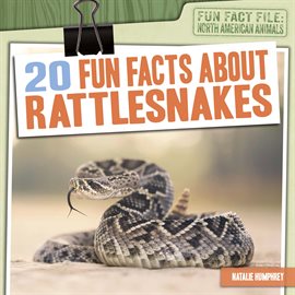 Cover image for 20 Fun Facts About Rattlesnakes