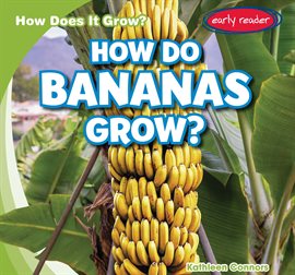 Cover image for How Do Bananas Grow?