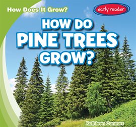 Cover image for How Do Pine Trees Grow?