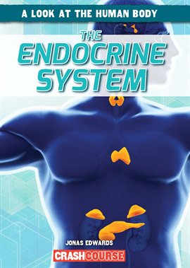 Cover image for Endocrine System
