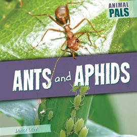 Cover image for Ants and Aphids