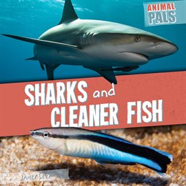Cover image for Sharks and Cleaner Fish