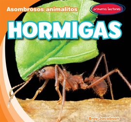 Cover image for Hormigas (Ants)