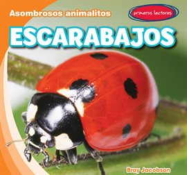 Cover image for Escarabajos (Beetles)