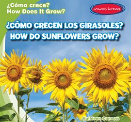 Cover image for ¿Cómo crecen los girasoles? How Do Sunflowers Grow?
