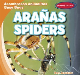 Cover image for Arañas / Spiders