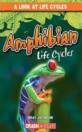 Cover image for Amphibian Life Cycles