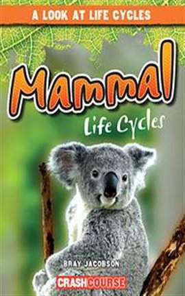 Cover image for Mammal Life Cycles