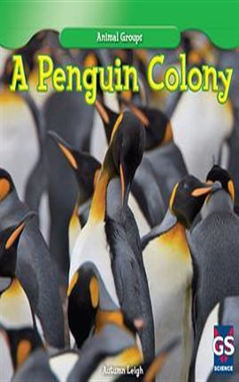 Imagen de portada para A Penguin Colony
