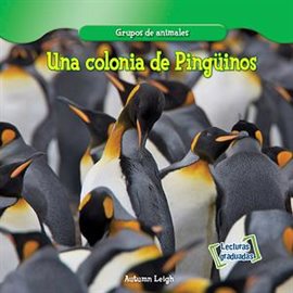 Imagen de portada para Una colonia de Pingüinos (A Penguin Colony)