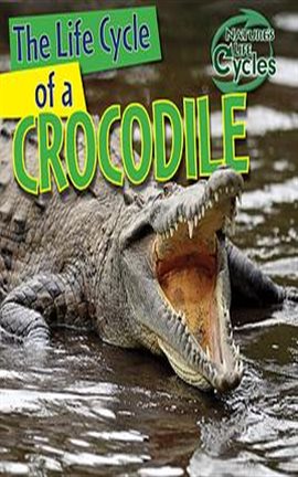 Cover image for The Life Cycle of a Crocodile