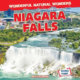 Cover image for Niagara Falls