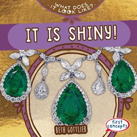 Imagen de portada para It Is Shiny!