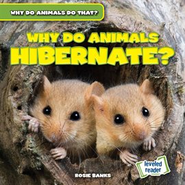 Cover image for Why Do Animals Hibernate?