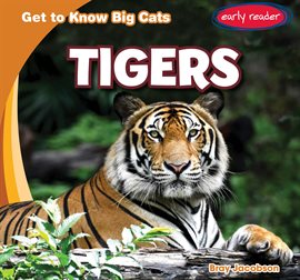 Cover image for Tigers