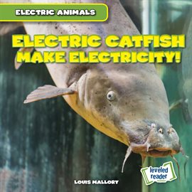 Cover image for Electric Catfish Make Electricity!