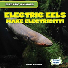 Cover image for Electric Eels Make Electricity!