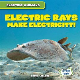 Cover image for Electric Rays Make Electricity!