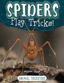 Imagen de portada para Spiders Play Tricks!