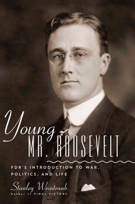 Cover image for Young Mr. Roosevelt
