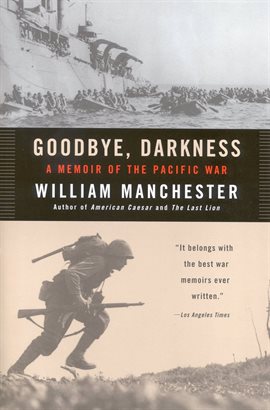 Cover image for Goodbye, Darkness