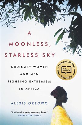 Cover image for A Moonless, Starless Sky