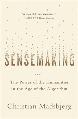 Cover image for Sensemaking