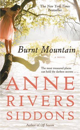 Imagen de portada para Burnt Mountain