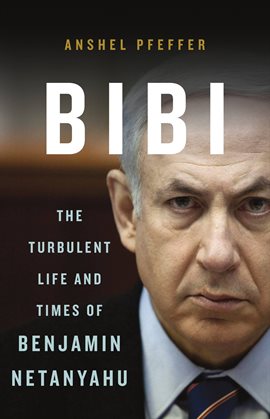 Imagen de portada para Bibi