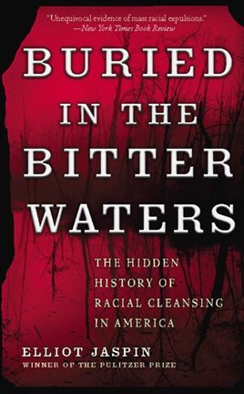 Cover image for Buried in the Bitter Waters