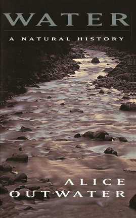 Cover image for Water