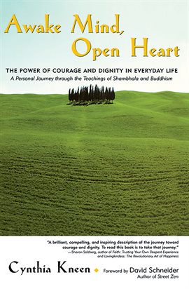 Cover image for Awake Mind, Open Heart