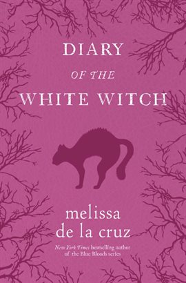 Cover image for Diary of the White Witch