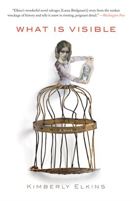Cover image for What Is Visible