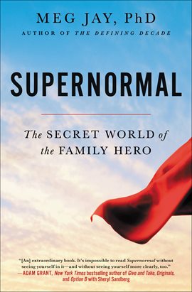 Cover image for Supernormal