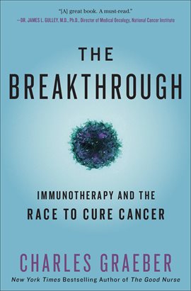 Cover image for The Breakthrough