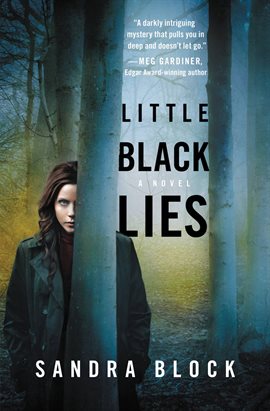 Cover image for Little Black Lies