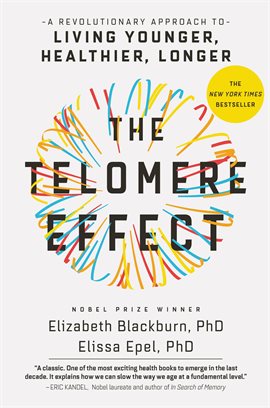Cover image for The Telomere Effect