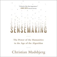 Cover image for Sensemaking