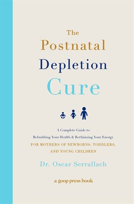 Cover image for The Postnatal Depletion Cure