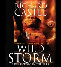 Cover image for Wild Storm