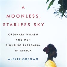 Cover image for A Moonless, Starless Sky