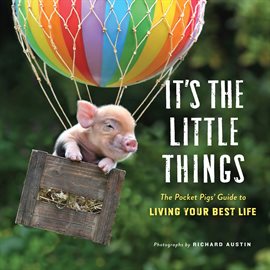 Cover image for It's the Little Things