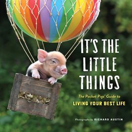 Imagen de portada para It's the Little Things