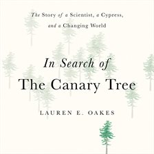 Cover image for In Search of the Canary Tree