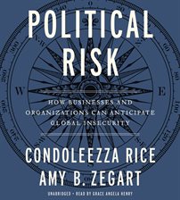 Cover image for Political Risk