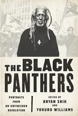 Cover image for The Black Panthers